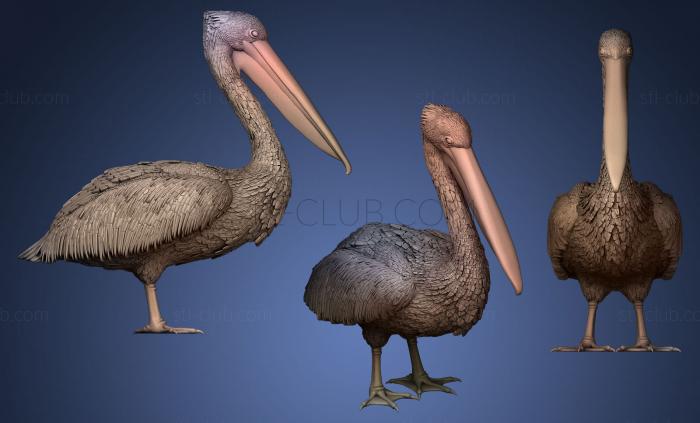 3D model pelican5 (STL)